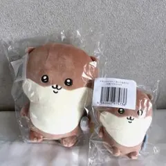 2026年最新】ナガノカワウソB賞の人気アイテム - メルカリ