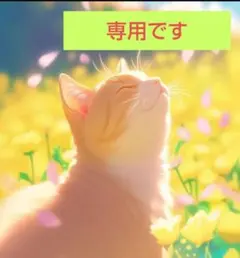 chipmunk2s様 リクエスト 2点 まとめ商品