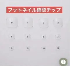 ever nail サイズ確認チップ【フットネイル】