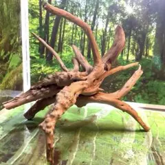 Sassa様 リクエスト 2点 まとめ商品