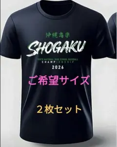 2025 黒白歌合戦 Tシャツ (黒/白)Мサイズ 2025 黒白歌合戦 Tシャツ (黒/白)Мサイズ - メルカリ