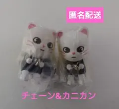 SKZOO　ジニレット　つまんでつなげてますこっと　ヒョンジン　ガチャ　スキズ