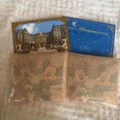 東京ディズニーランドホテル エコバッグ ミッキー＆ミニー
