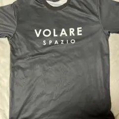 岐阜 バレーボール