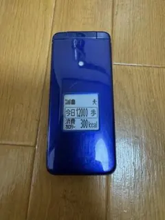 docomo F-08C 折りたたみ式携帯電話 青 docomo F-08C 折りたたみ式携帯電話 青 - メルカリ