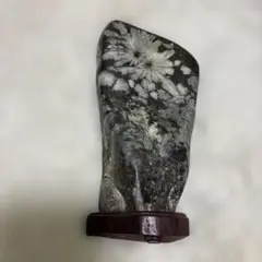 2026年最新】菊花石の人気アイテム - メルカリ