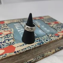 Item thumbnail for item 8d9fcb1d-18d1-4991-b200-903925712059