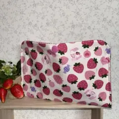 Item thumbnail for item 945986cc-3396-4d52-a435-2dd21a0cdf3e