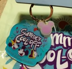 東京ディズニーリゾート アクリルキーホルダー