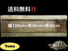 celjimada1115　804040サイドアクリル前開き celjimada1115様専用 804040サイドアクリル前開き - メルカリ