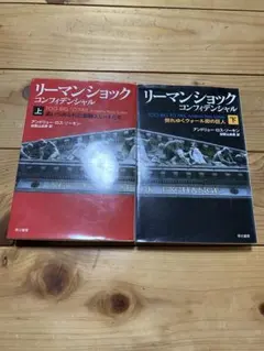 リーマン・ショック・コンフィデンシャル　上下セット