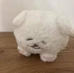 ほわころくらぶ おやすみほわころちゃん ぬいぐるみ ホワイト