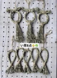 Item thumbnail for item cc04041e-f5db-47c1-8db2-2faa8e62e64e