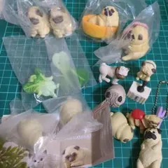フューチャー イズ ワイルド フューチャーコレクション - メルカリ
