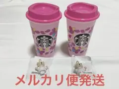 スターバックス　サクラ2024 リユーザブルカップ　ベアリスタ　2点　本日限定