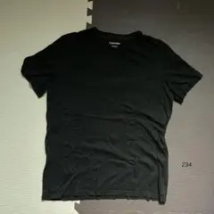【高級ピマコットン】Calvin Kleinカルバンクライン刺繍ロゴ TシャツM