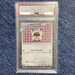 【良品❗️早い者勝ち❗️】ポンチョを着たイーブイ　ニンフィア❗️ 2025年最新】ニンフィア ポンチョの人気アイテム - メルカリ