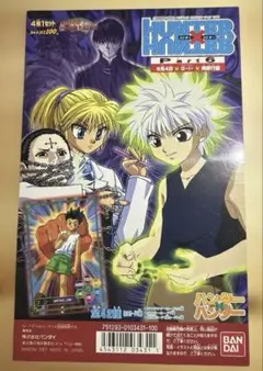 ハンターハンター グリードアイランドカード 10セットまとめ売り