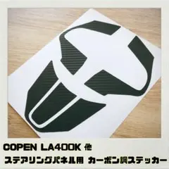 LA400k コペン 専用設計 キャンバープレート 一枚物 3度 - メルカリ
