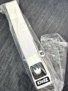 Item thumbnail for item 5289ff87-3762-42b4-8521-221f164f6cf4