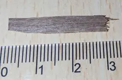 2026年最新】黄熟香の人気アイテム - メルカリ