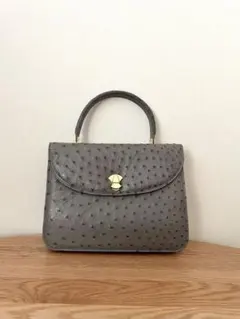 オーストリッチレザー グレー ハンドバッグ