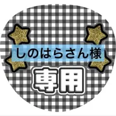 しのはらさん様 リクエスト 2点 まとめ商品