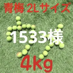 207 ぶぶ様 青梅 2Lサイズ 10kg - メルカリ