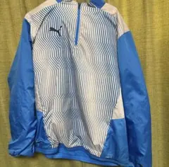 Item thumbnail for item 19bfcbc2-5a99-4716-97b4-fd486c7f5187