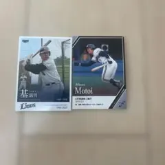 Item thumbnail for item 2c84e30d-7d14-4afe-8ddd-5633f79e6c77