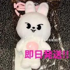 2026年最新】skzoo リノ leebit ぬいぐるみの人気アイテム - メルカリ