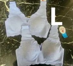 Item thumbnail for item e26504cd-d5ad-4ffd-b346-53c16a8396c0