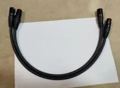 Item thumbnail for item e040c604-6db6-4488-9de6-d1f5a35063fc