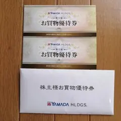 ヤマダ電機 YAMADA HLDGS. お買物優待券 8000円分