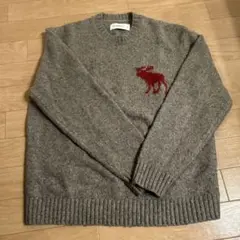 Abercrombie & Fitch セーター L