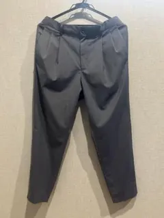 【green label relaxing】ウォッシャブルトロ 2プリーツ 春夏のサムネイル