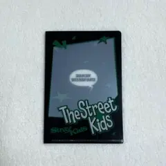 StrayKids スキズ 2025本国シーグリ ミニファイル