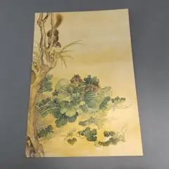 清国　大型　永興典當行封藏 棲禽図 名家 【沈銓 】 氏の書卷绘 卷绘未開封箱 清国 大型 永興典當行封藏 棲禽図 名家 【沈銓 】 氏の書卷