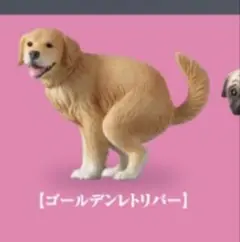 Item thumbnail for item fa72ecf4-1621-4771-8e16-2f775ac633e1