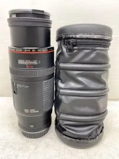 2025年最新】EF 100-300 F5.6Lの人気アイテム - メルカリ