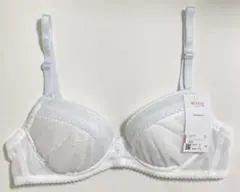 Item thumbnail for item 8884fd8a-948d-4133-aa0d-8a6004dda929