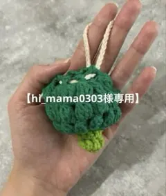 【hi_mama0303様専用】ブロッコリーのミニ巾着（リピート割）