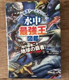 Item thumbnail for item 351f8c84-063d-48a9-945f-9da848145901