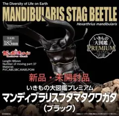 いきもの大図鑑プレミアム　マンディブラリスフタマタクワガタ　ブラック