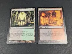 MTG FF 原初の楔/大群への給餌【Foil】 Secret Lair - メルカリ