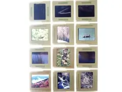 Item thumbnail for item 2770f6a2-2e78-4a92-809e-b5fe041f1e69