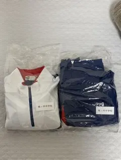 Item thumbnail for item f8842bb8-d8b2-4376-abb9-024a172c4286