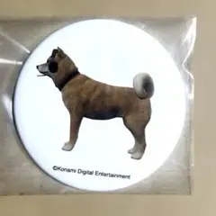 サイレントヒル2 犬エンド 缶バッジ EXHIBITION 展示会 限定品 - メルカリ