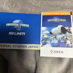 【最安値】USJ チケット　 1dayパス　※4/15までのサムネイル