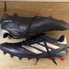 Item thumbnail for item 164ed1da-4a45-4a52-9ead-23cacdb1967a